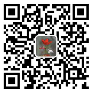 掃碼咨詢湖北滅火設備廠家